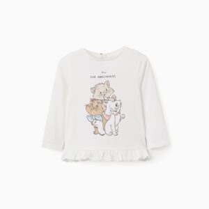 Camisas y camisetas